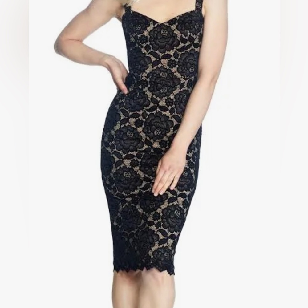 Dress the Population black and tan lace/velvet cocktail dress